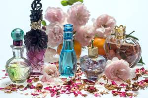 tienda de perfumes y fragancias online